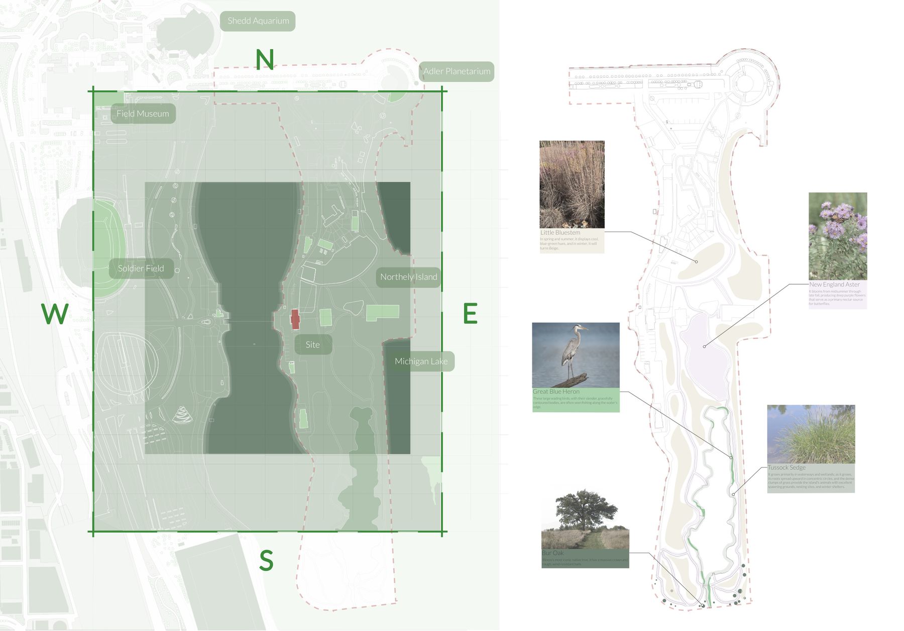 Site plan of Northerly Island with photos and a planting palette of native prairie and wetland species