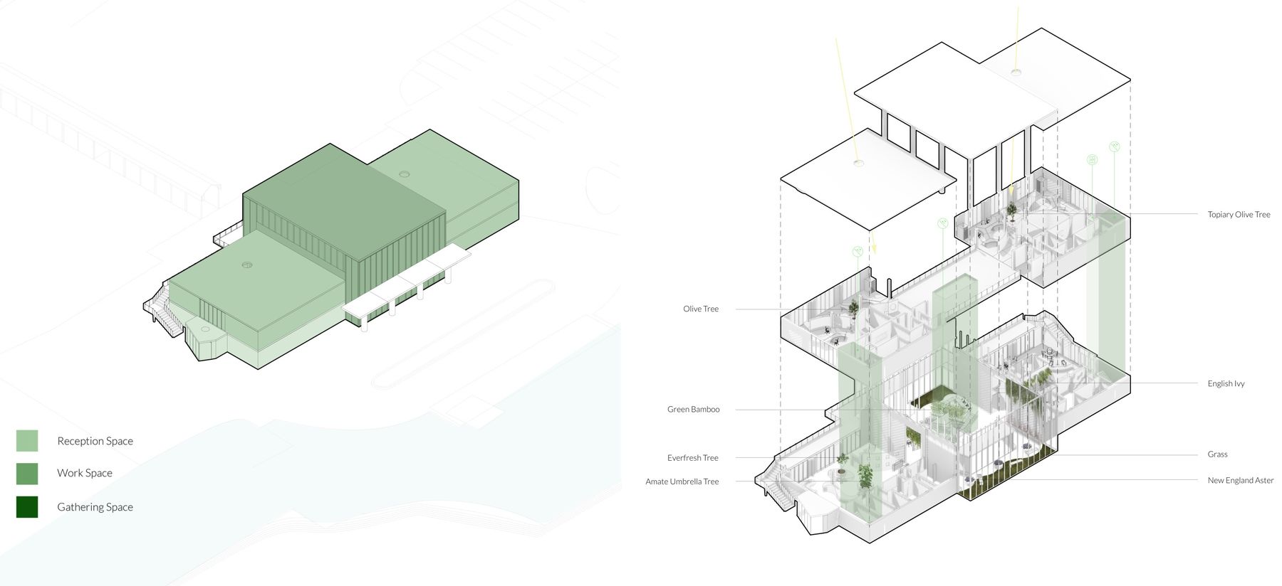 Massing diagram colored by function — reception, work, and gathering space — alongside an exploded axonometric labeling planting species throughout the building