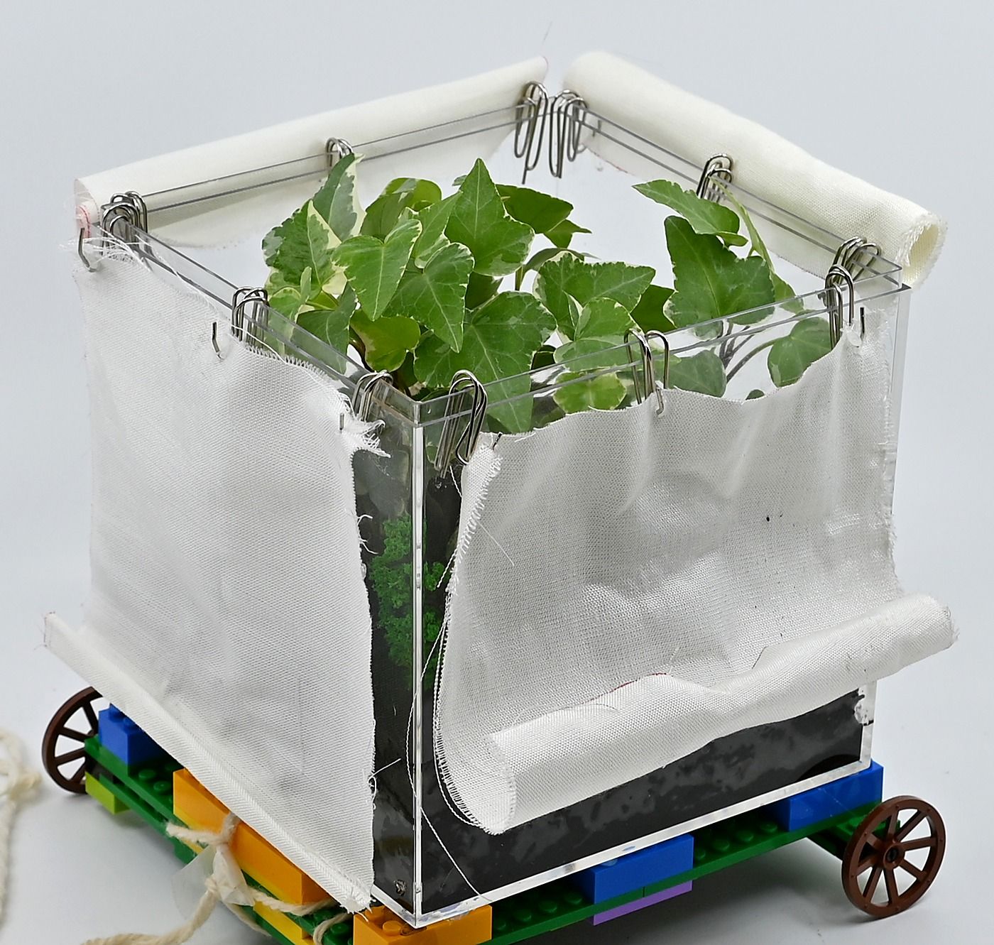Physical study model of a wheeled Wardian case for walking plants